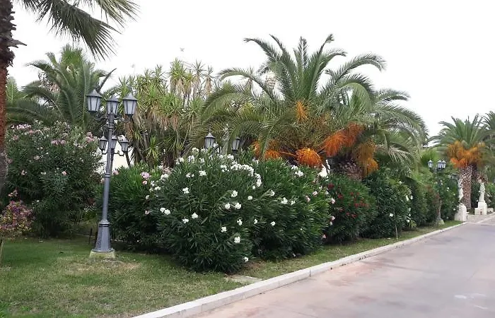 Grand Vigna Nocelli לוצ'רה